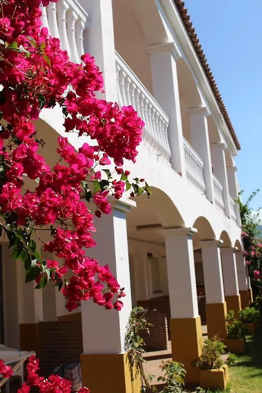Apartamentos Bolonia Paraiso Apartment