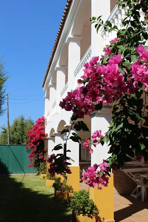 Apartamentos Bolonia Paraiso 0*,  Spain
